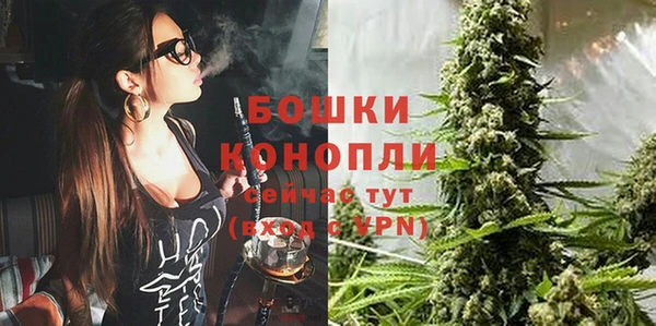 шишки Белокуриха
