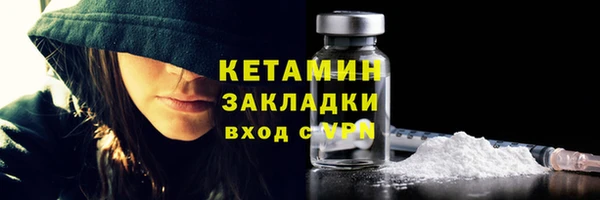 шишки Белокуриха