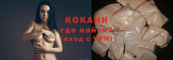 шишки Белокуриха