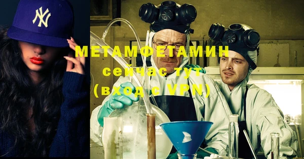 шишки Белокуриха