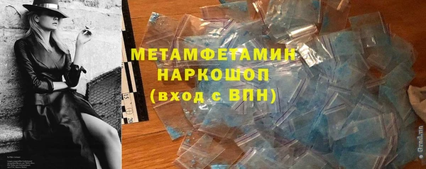 шишки Белокуриха