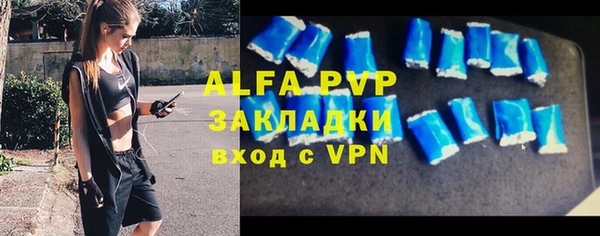 шишки Белокуриха