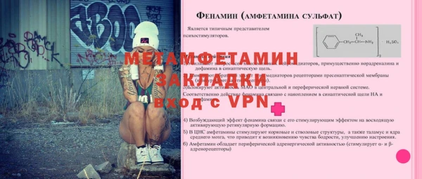 шишки Белокуриха