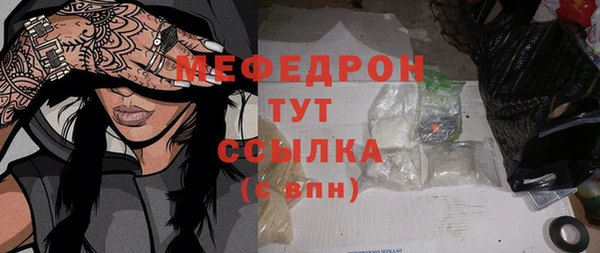 шишки Белокуриха