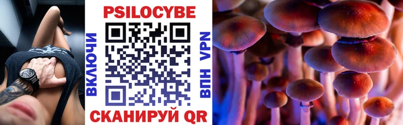 цена   МЕГА вход  Галлюциногенные грибы Cubensis  Гатчина 