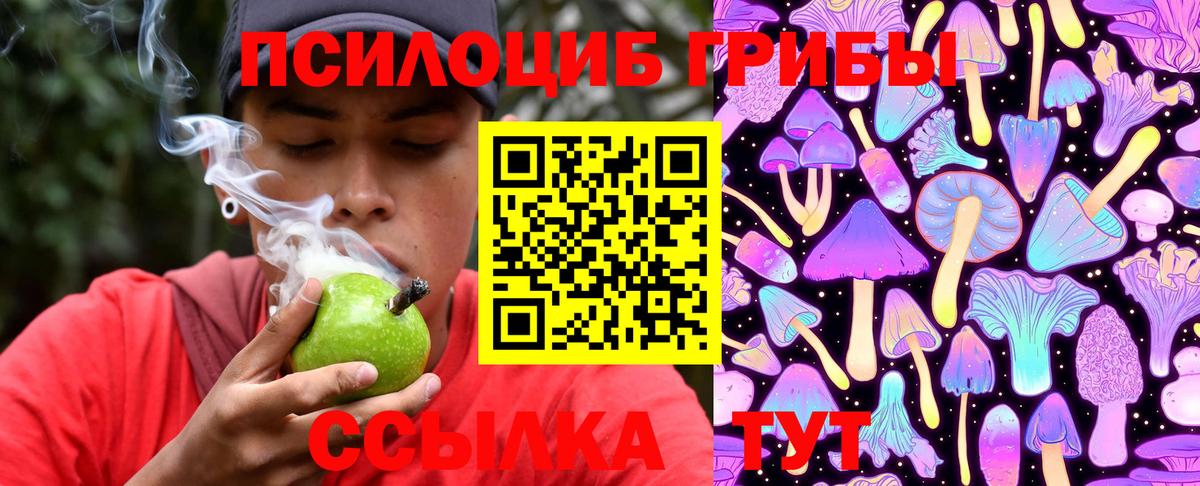 Гатчина  Псилоцибиновые грибы Magic Shrooms  Вход с VPN 